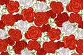 Beautiful seamless floral pattern in abstract rose flowers. Rich red and white roses, leaves on a white background. Royalty Free Stock Photo